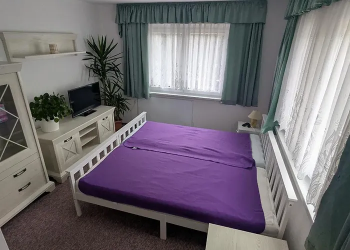 Bergstrasse Hammermuehle Apartmán Bad Düben